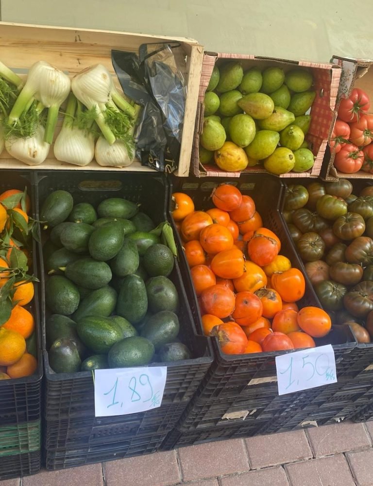 WhatsApp Image 2026-02-18 at 15.04.01 (2)